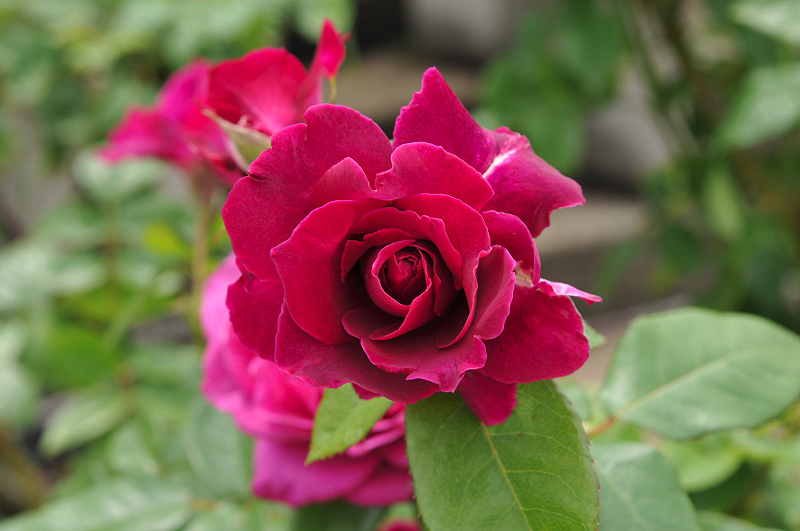 image0215