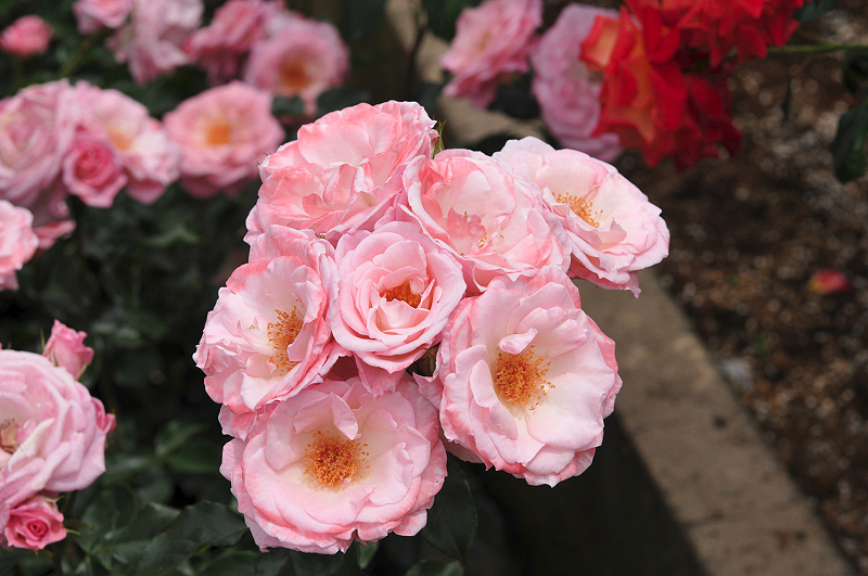 image0218