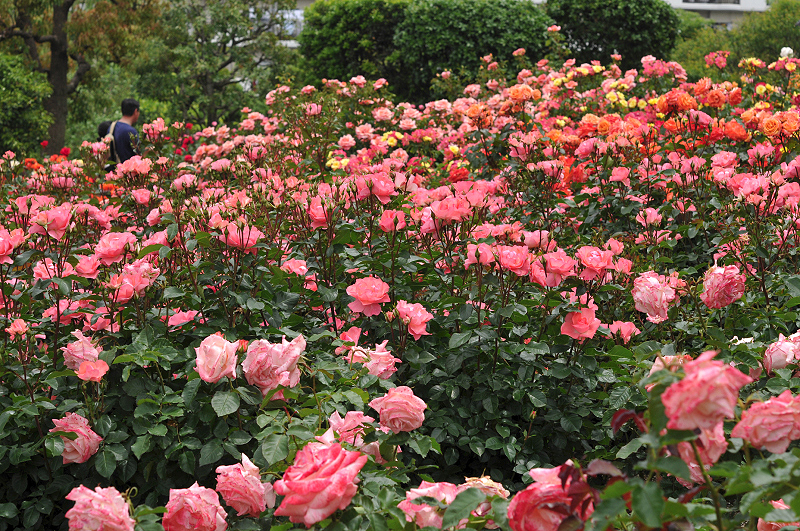 image0220