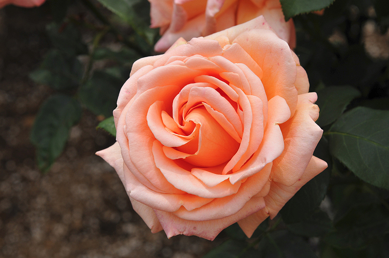 image0224