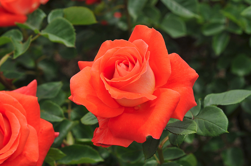 image0225