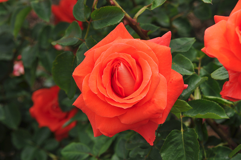 image0226