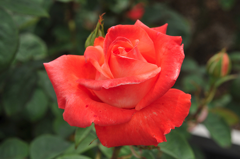 image0228