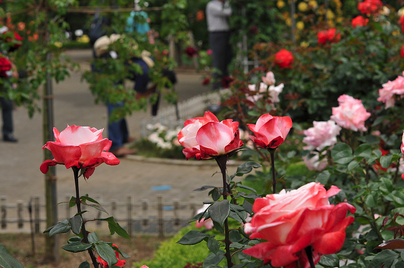 image0234