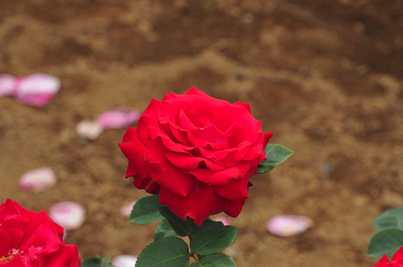 image0241