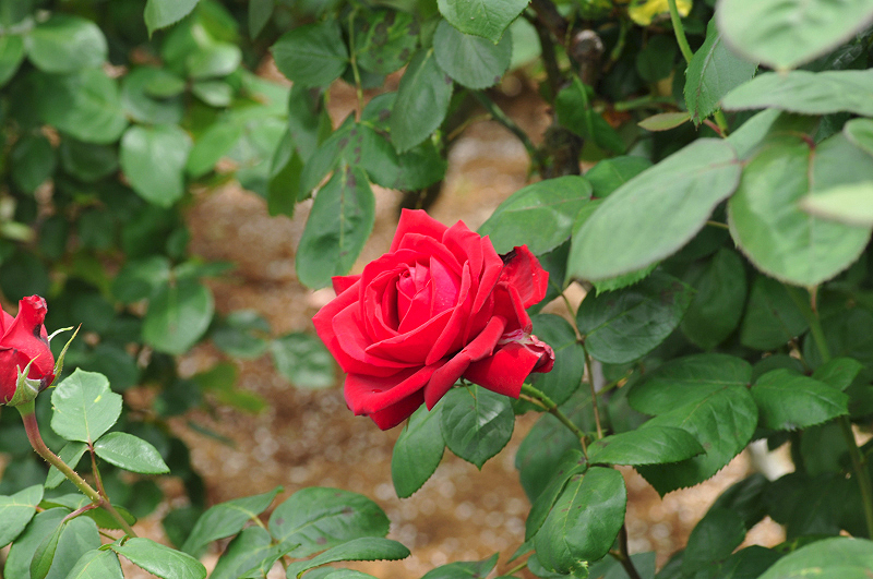 image0246