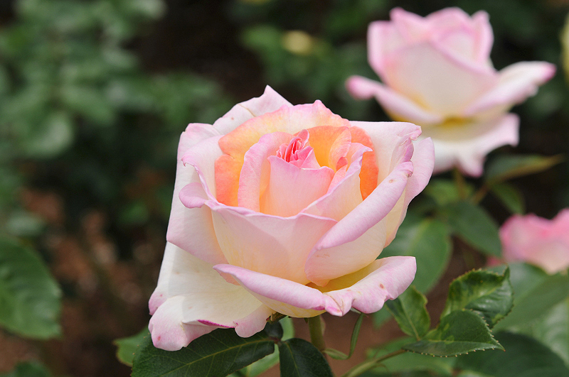 image0255