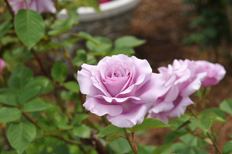 image0257
