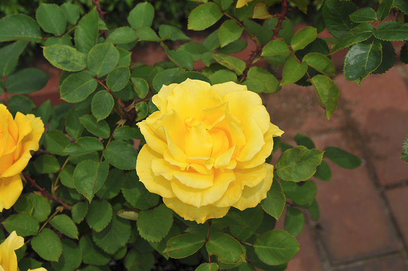 image0258