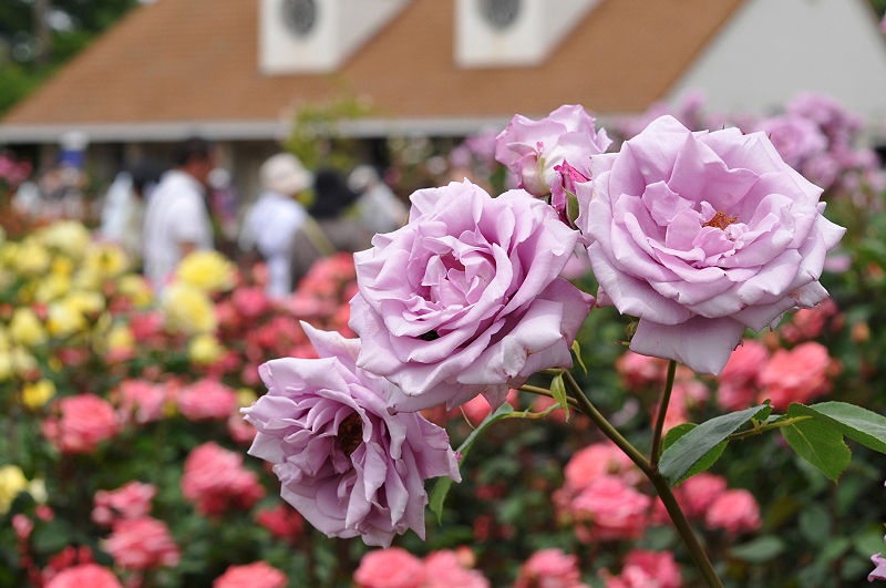image0261