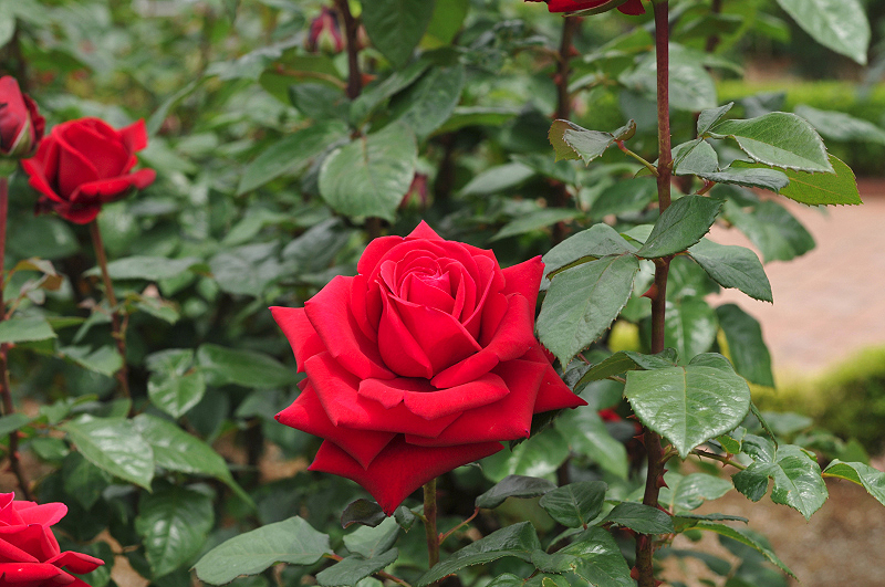 image0270