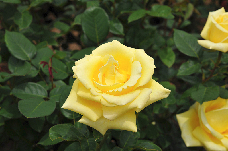 image0272