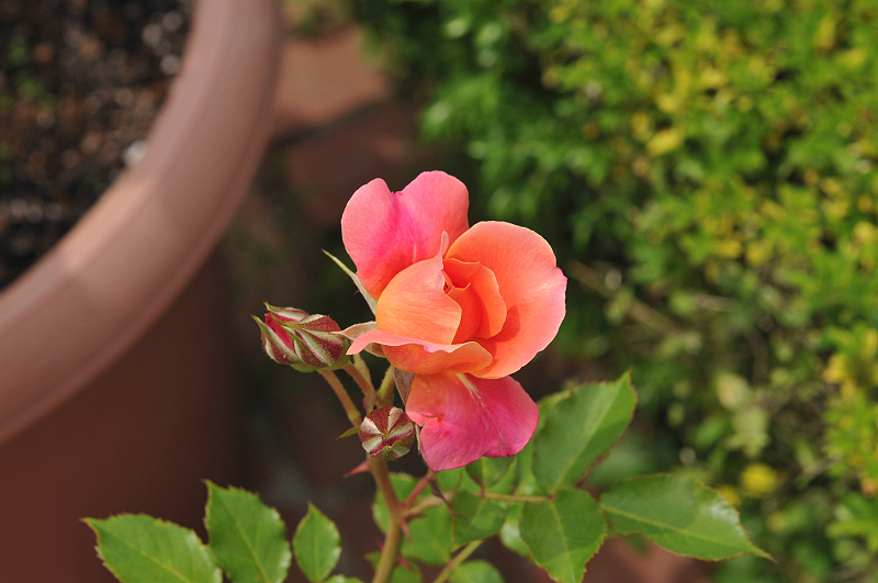 image0277