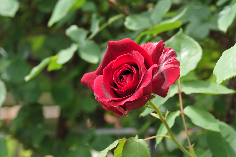image0289