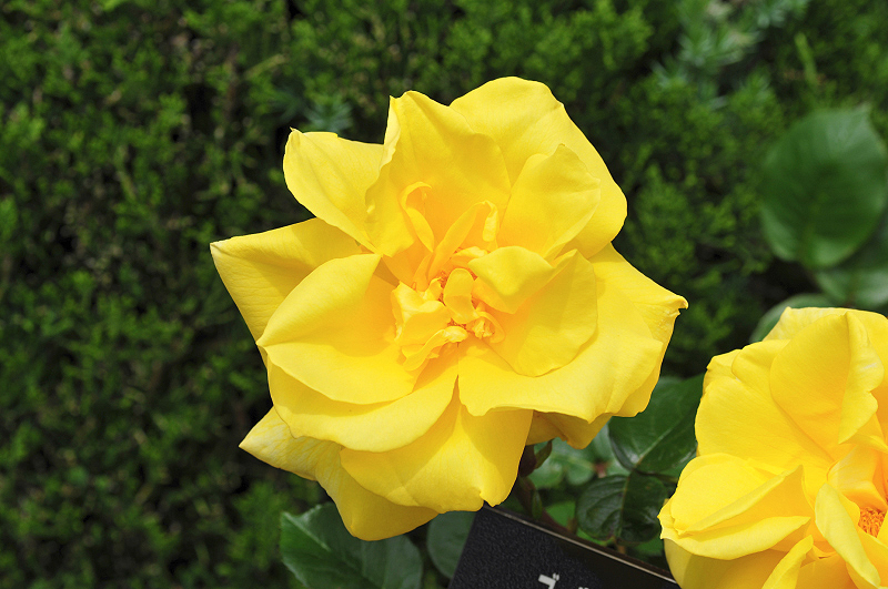 image0299