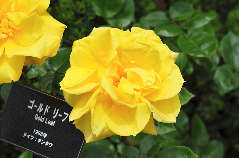 image0300