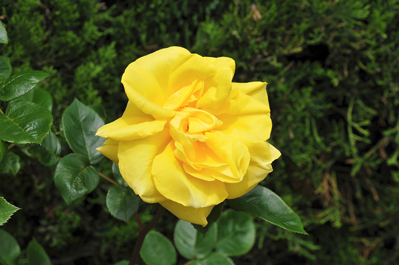 image0301
