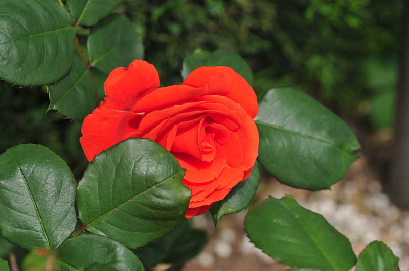 image0303