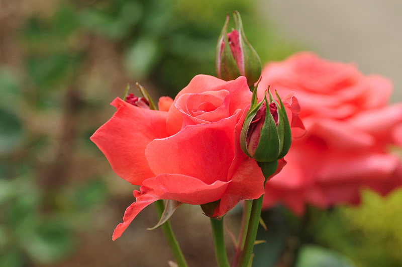 image0304