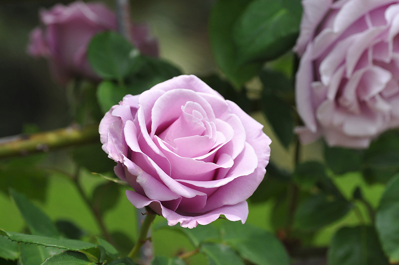 image0306