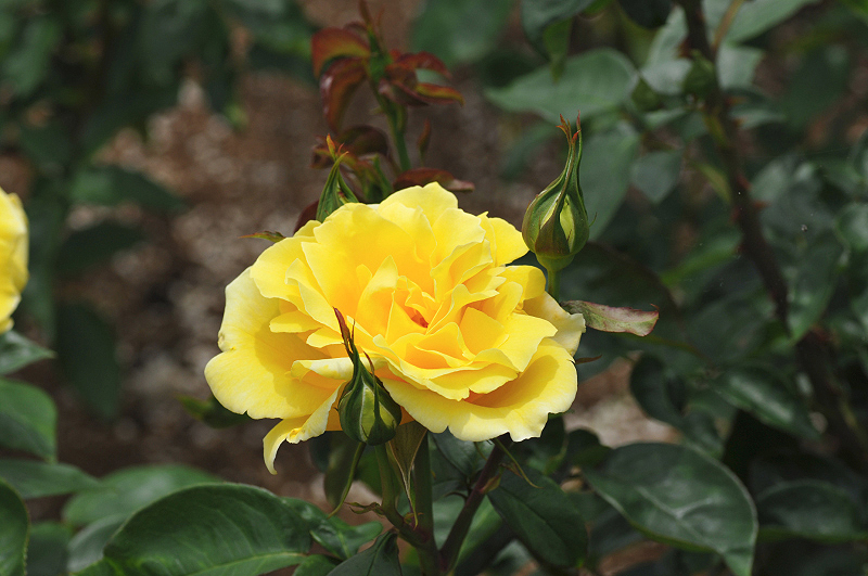 image0308