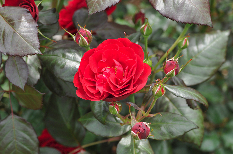 image0311