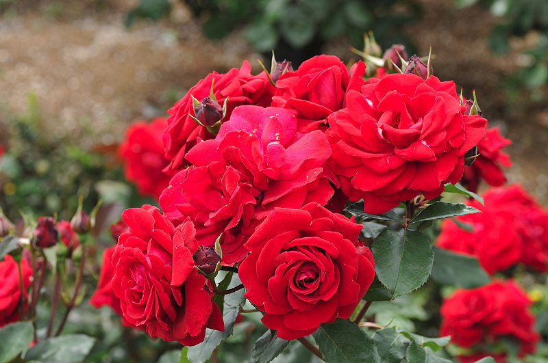 image0314