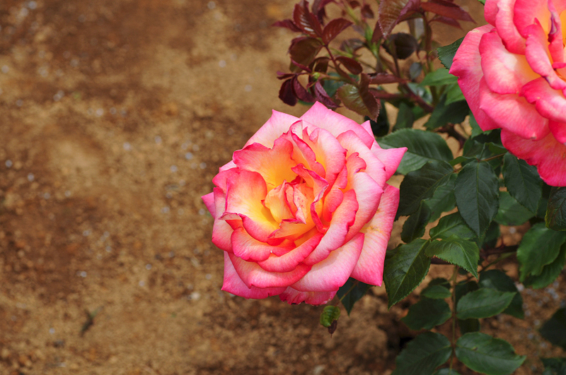 image0315