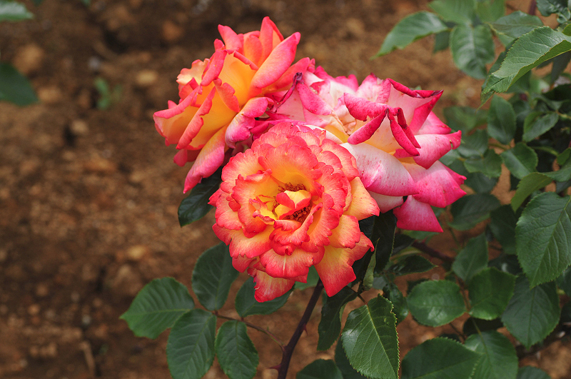 image0317