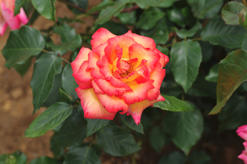 image0321