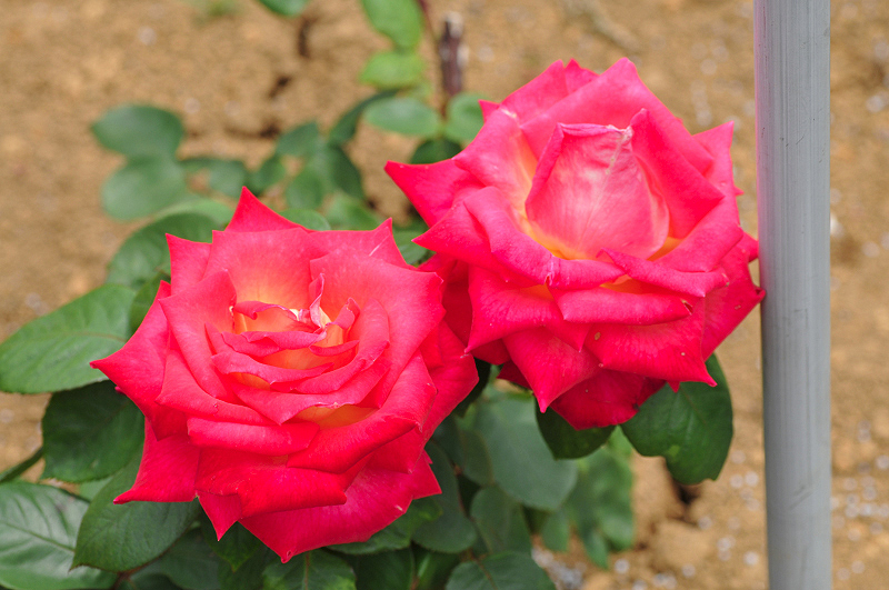 image0322