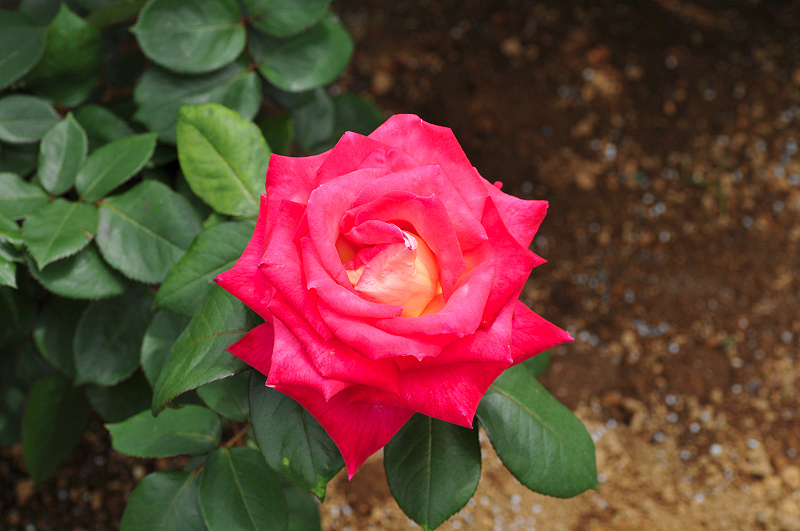 image0323
