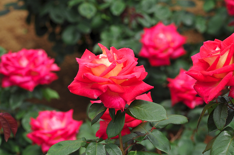image0324