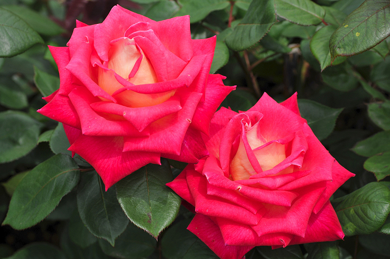 image0325
