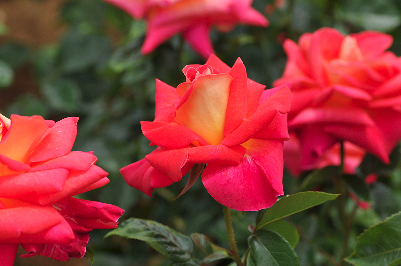 image0326