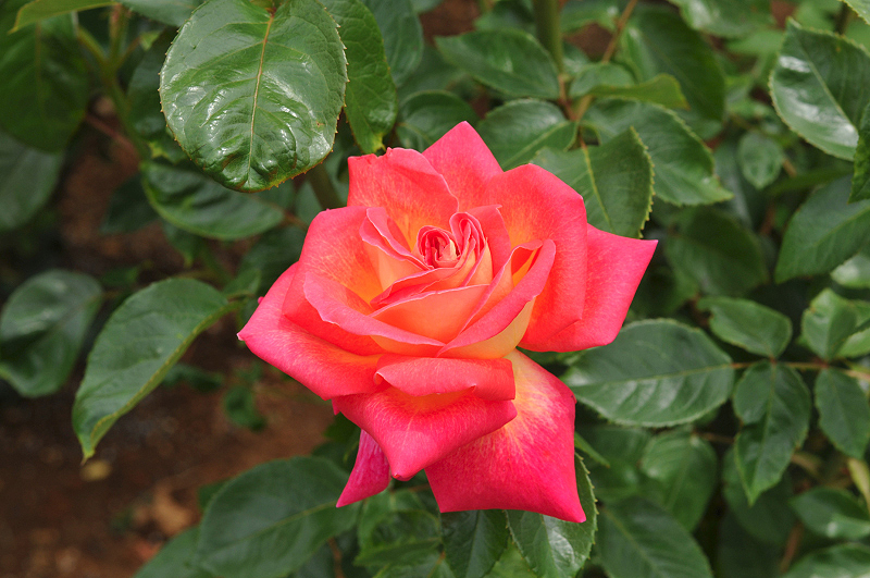 image0327