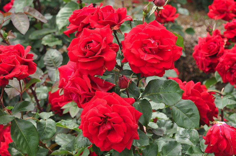 image0331