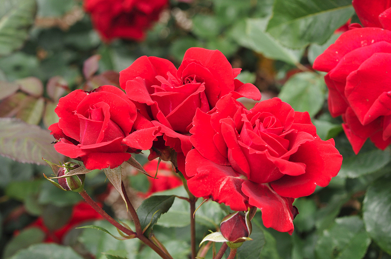 image0333