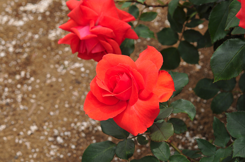 image0334