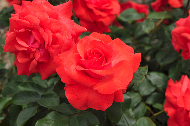 image0335