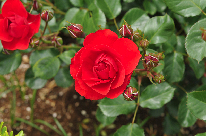 image0339