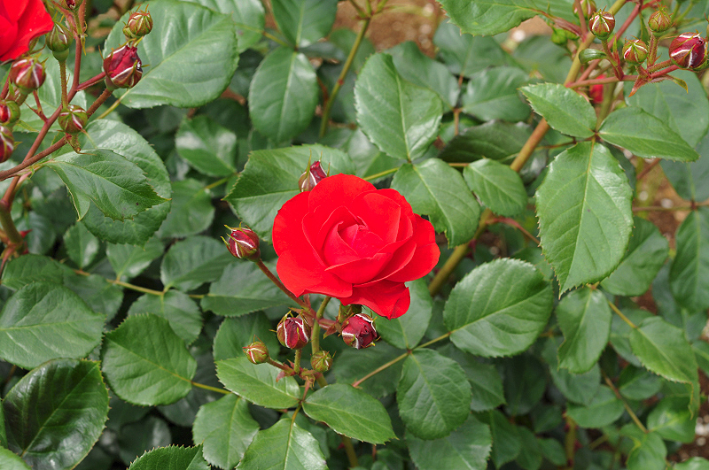 image0340