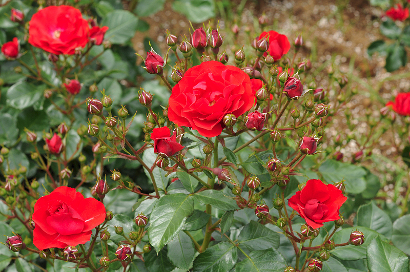 image0341