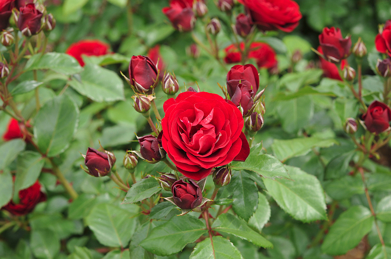 image0345