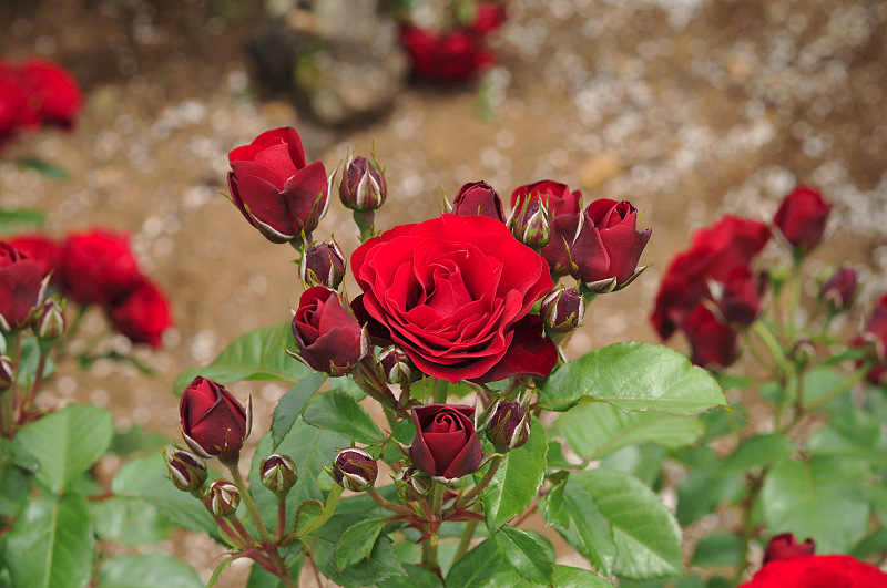 image0347