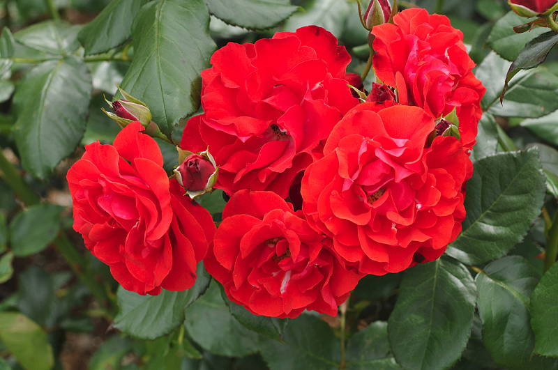 image0349