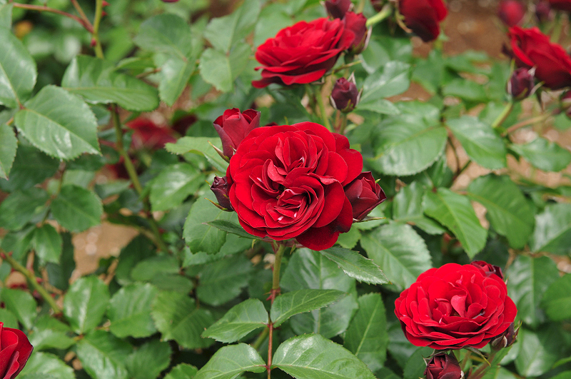 image0350
