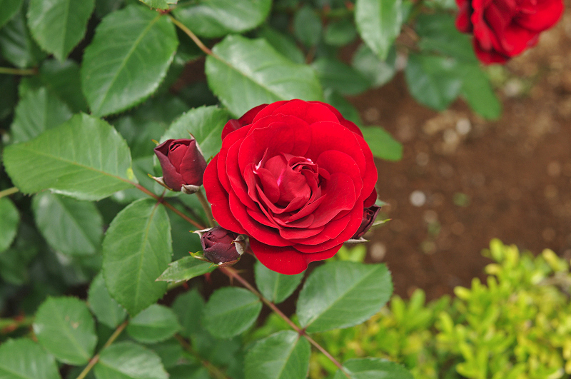 image0351