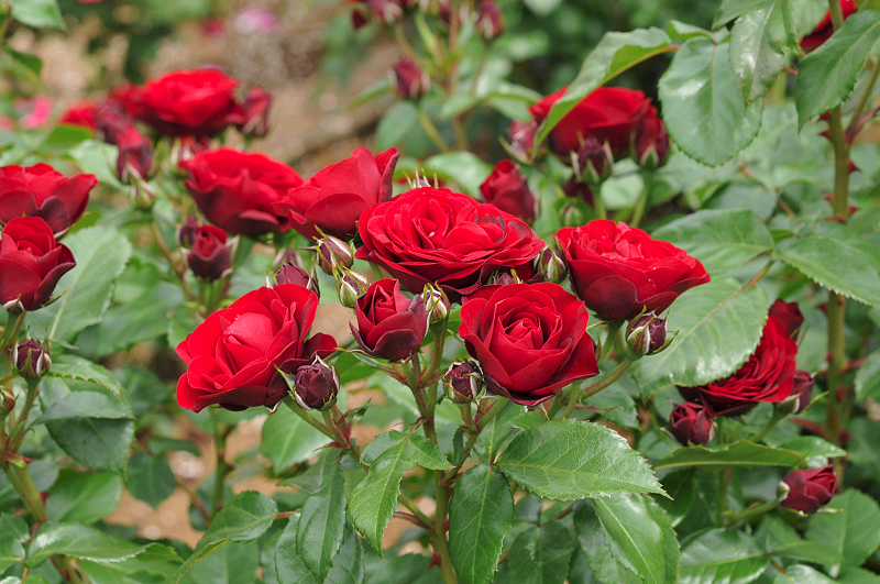 image0352