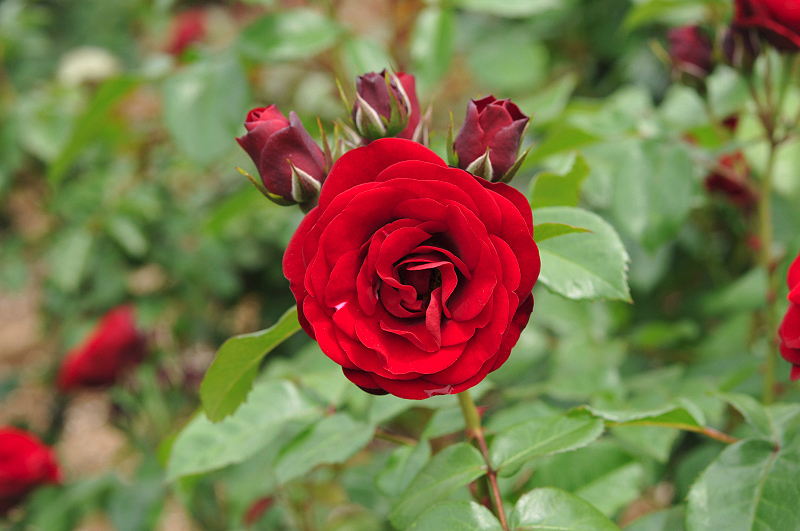 image0353
